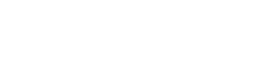 logo full name inverst